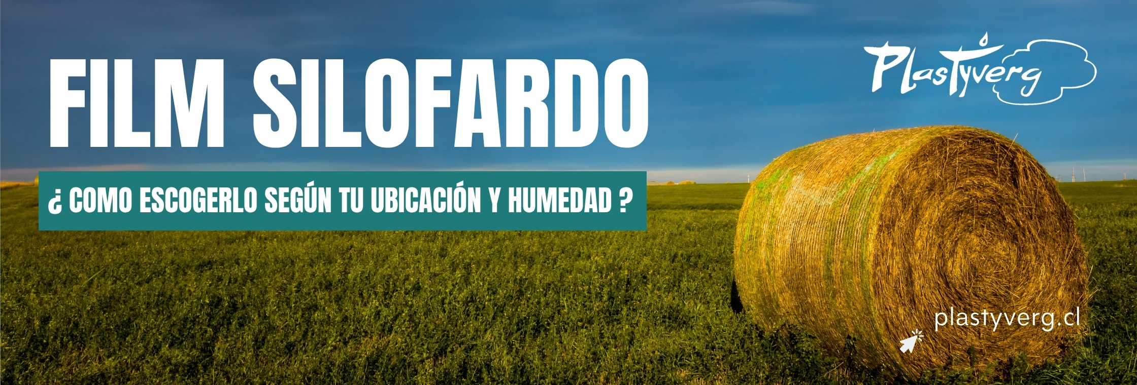 Plastico para Bolos Chile
