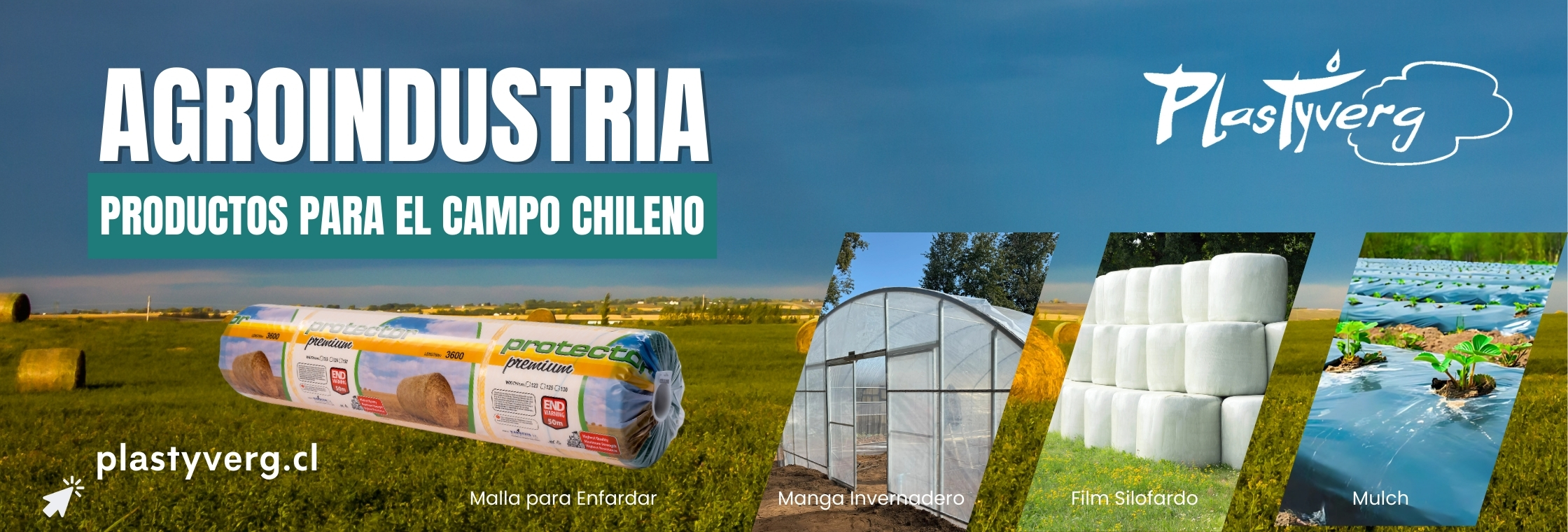 productos agroindustria chile